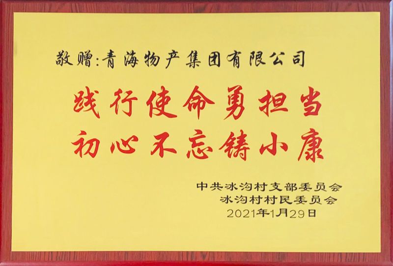 2021年1月冰沟村赠牌